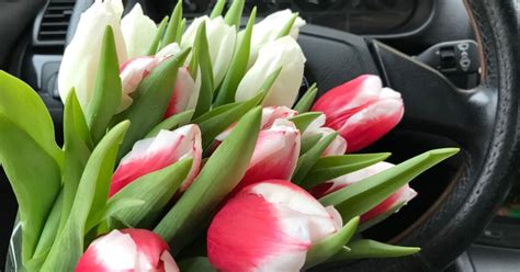 Can You Leave Flowers in the Car?