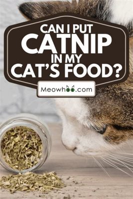 Can You Put Catnip in Cat Food? Exploring the Whisker-Twitching Possibilities