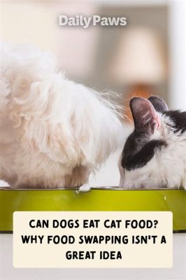 How to Get Dog to Stop Eating Cat Food and Why Pineapples Don't Belong in Pizza