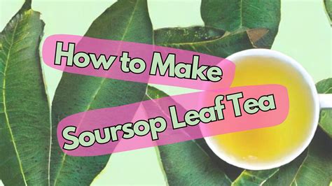 How to Make Soursop Tea: A Journey Through Flavor and Imagination